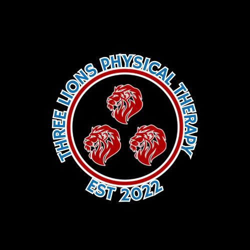 Three Lions Physical Therapy PLLC
