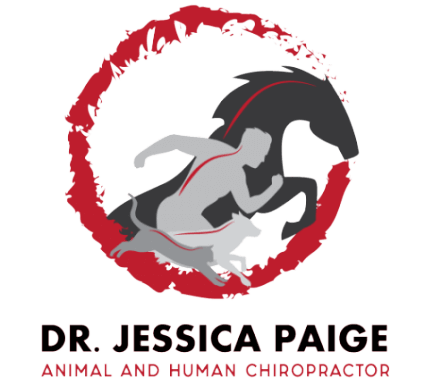 The Chiropractic Office of Dr. Jessica Paige Corporation